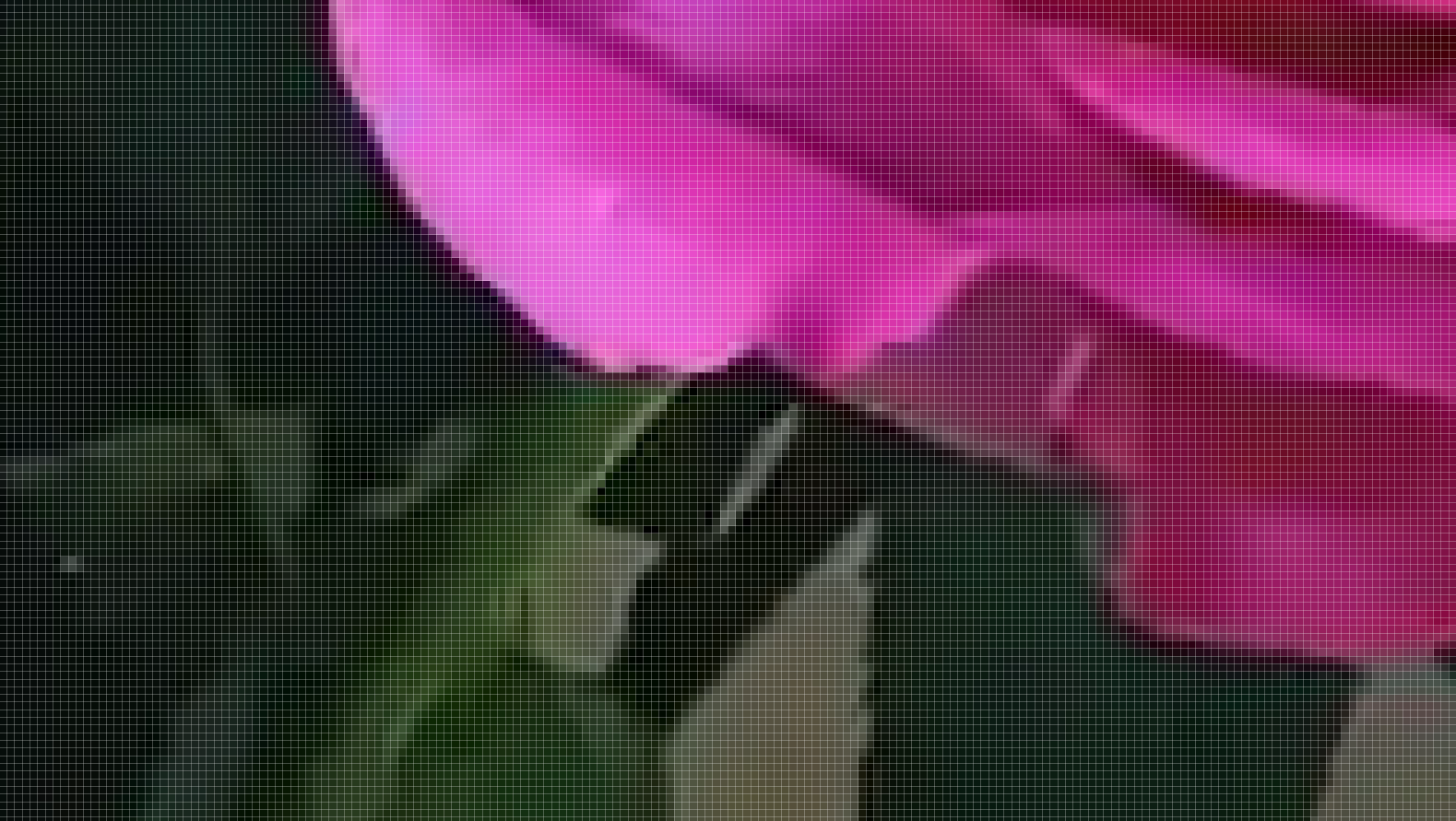像素与分辨率的详细解释及区别